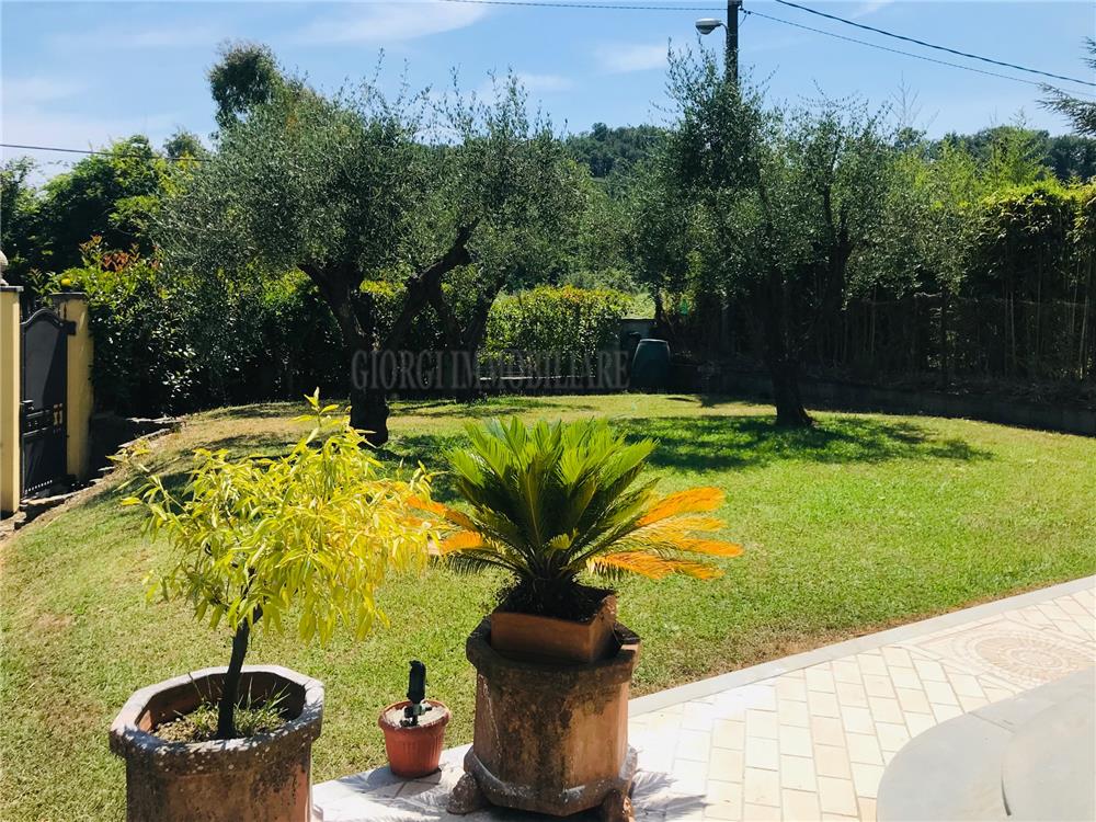 Massa Vendita Villa Romagnano rif: 1268